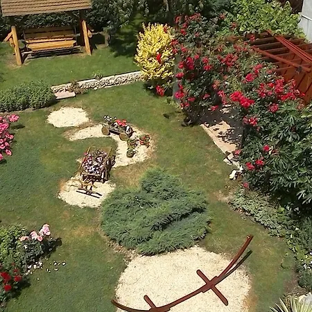 Villa Vila Camelia