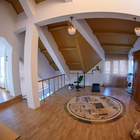 Villa Vila Camelia Ovidiu