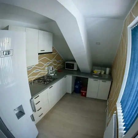 Vila Camelia Villa Ovidiu