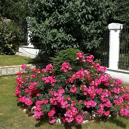 Vila Camelia